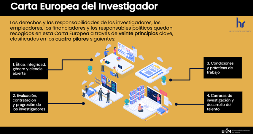 imagen de infografía de la Carta Europea del Investigador
