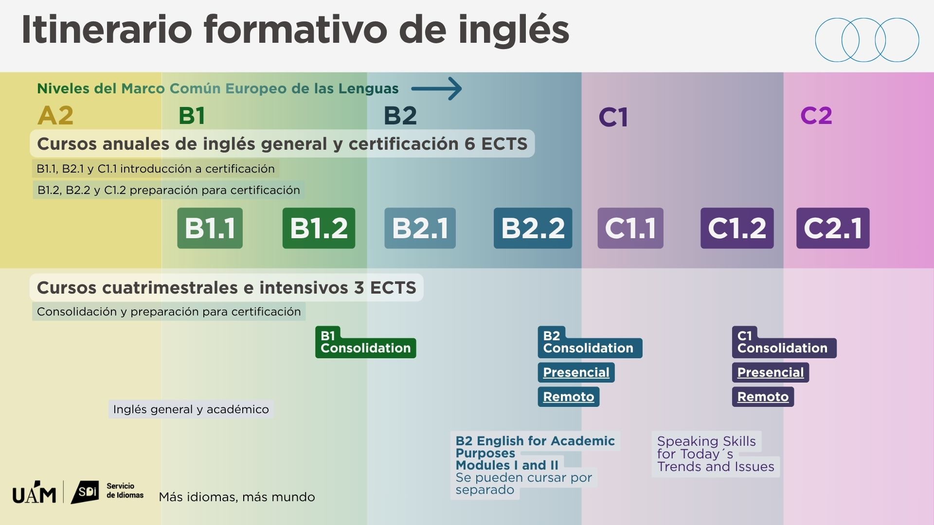 Cursos anuales y cuatrimestrales inglés