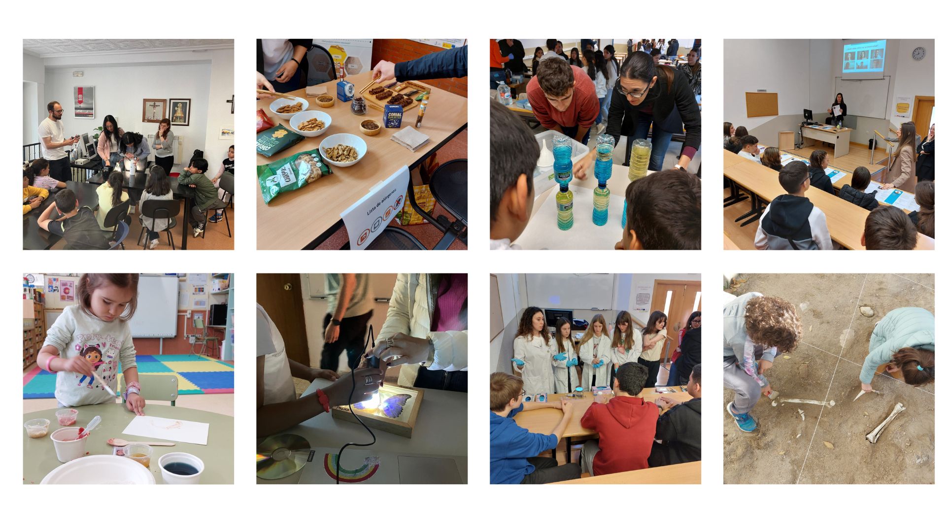 Estudiantes de distintas etapas educativas participan en los talleres del evento Researchers at Schools, dentro del proyecto de la Noche Europea de los Investigadores de Madrid 2024-2025. Las actividades, impartidas por personal investigador de diferentes disciplinas, les permitieron experimentar con pigmentos naturales, descubrir el ciclo del agua, excavar un yacimiento arqueológico simulado o analizar la alimentación del futuro, entre otras experiencias científicas.