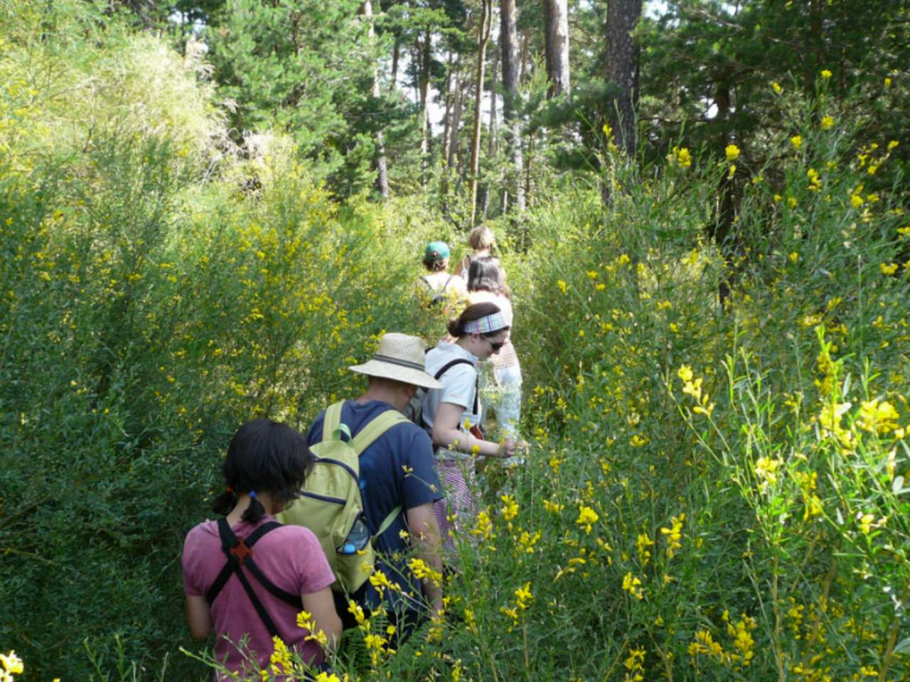 Rutas guiadas y excursiones didácticas