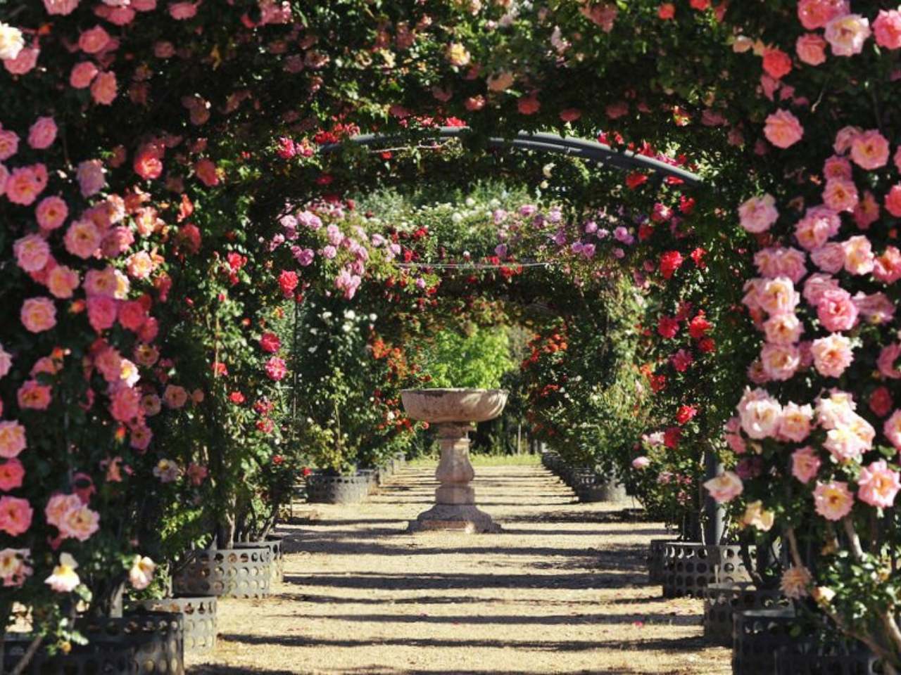 Paseos del mes: Real Jardín Botánico Juan Carlos I
