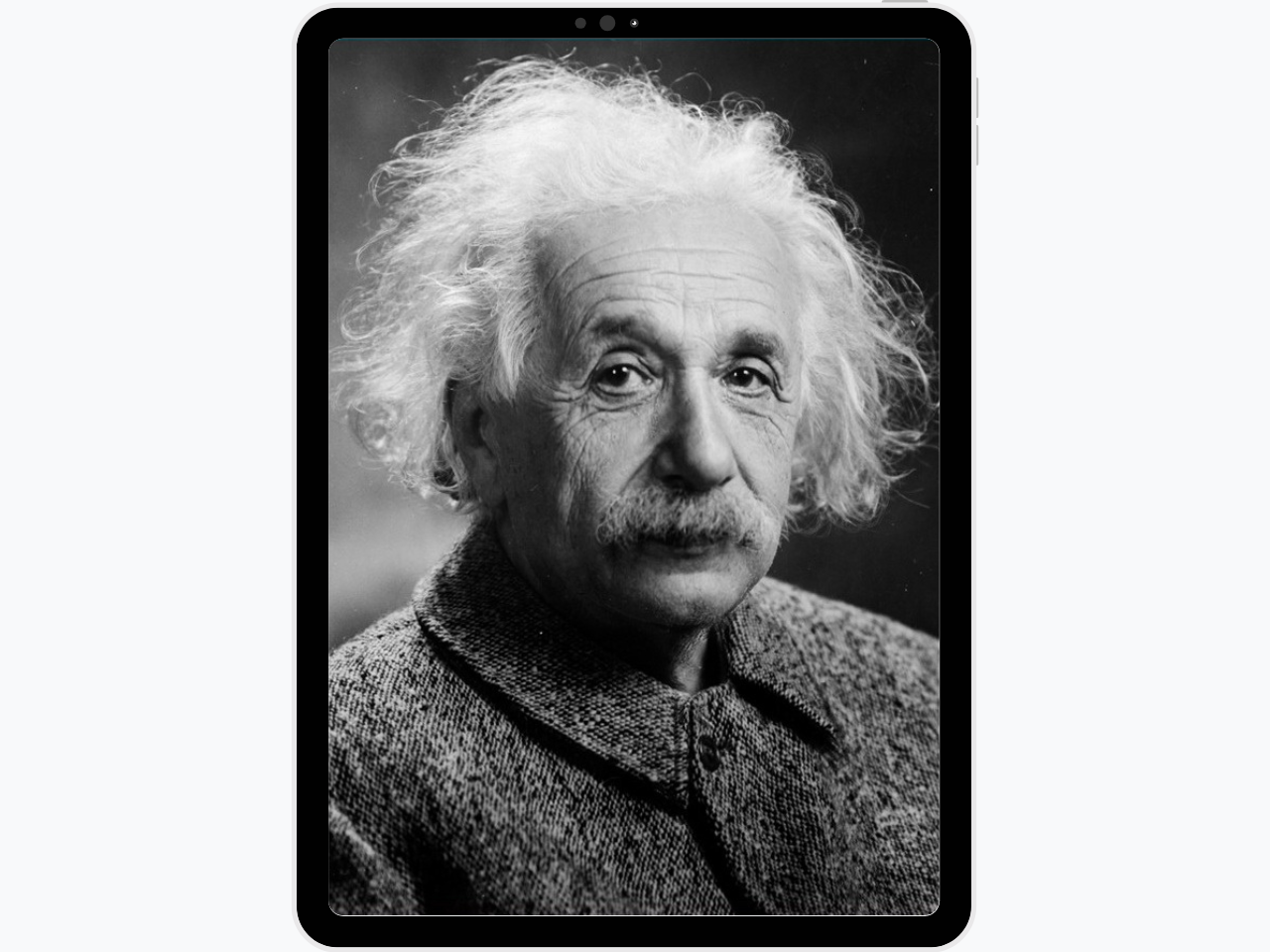 Cartel de la Exposición de Anécdotas sobre Albert Einstein
