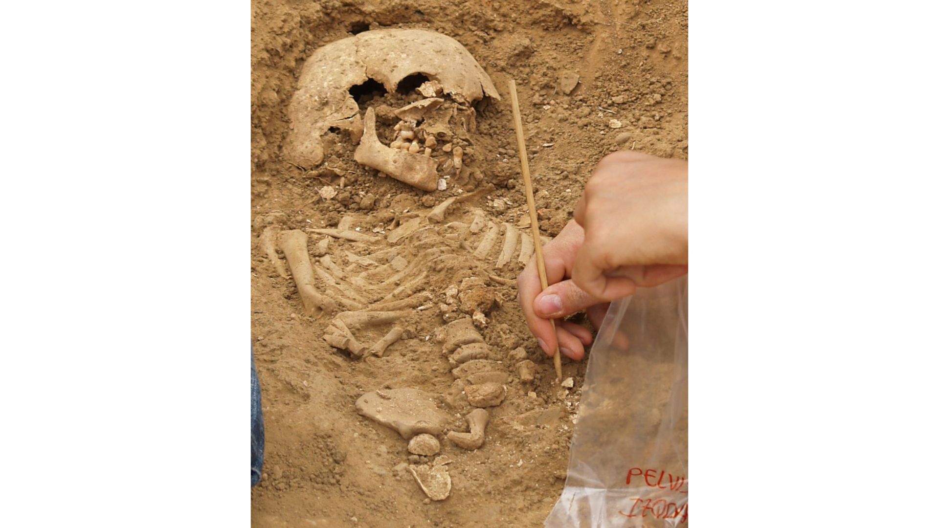 Excavación de los restos óseos humanos en el cementerio de Marialba de la Ribera (León). Campaña 2009 /Fotografía: LAPP (Armando González Martín)
