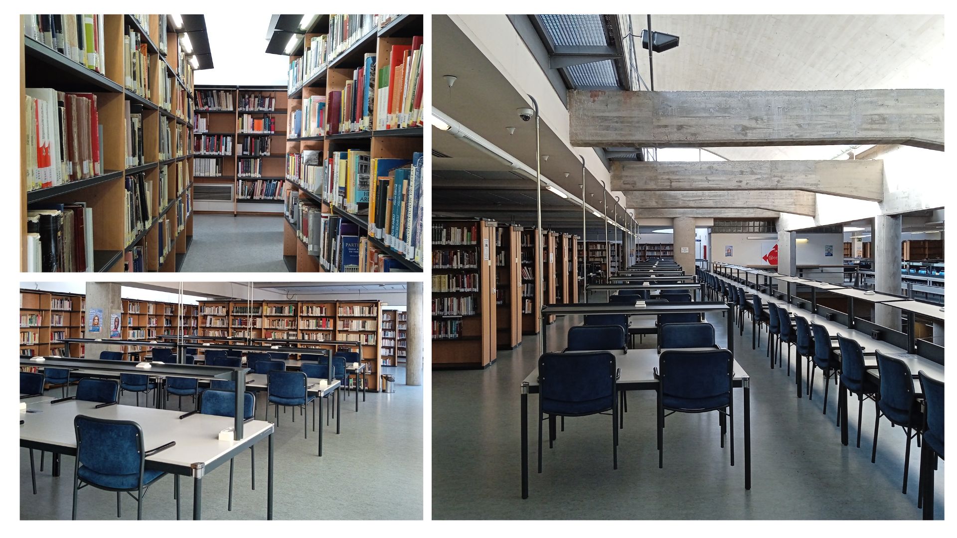 Imágenes de la sala de lectura de la primera planta