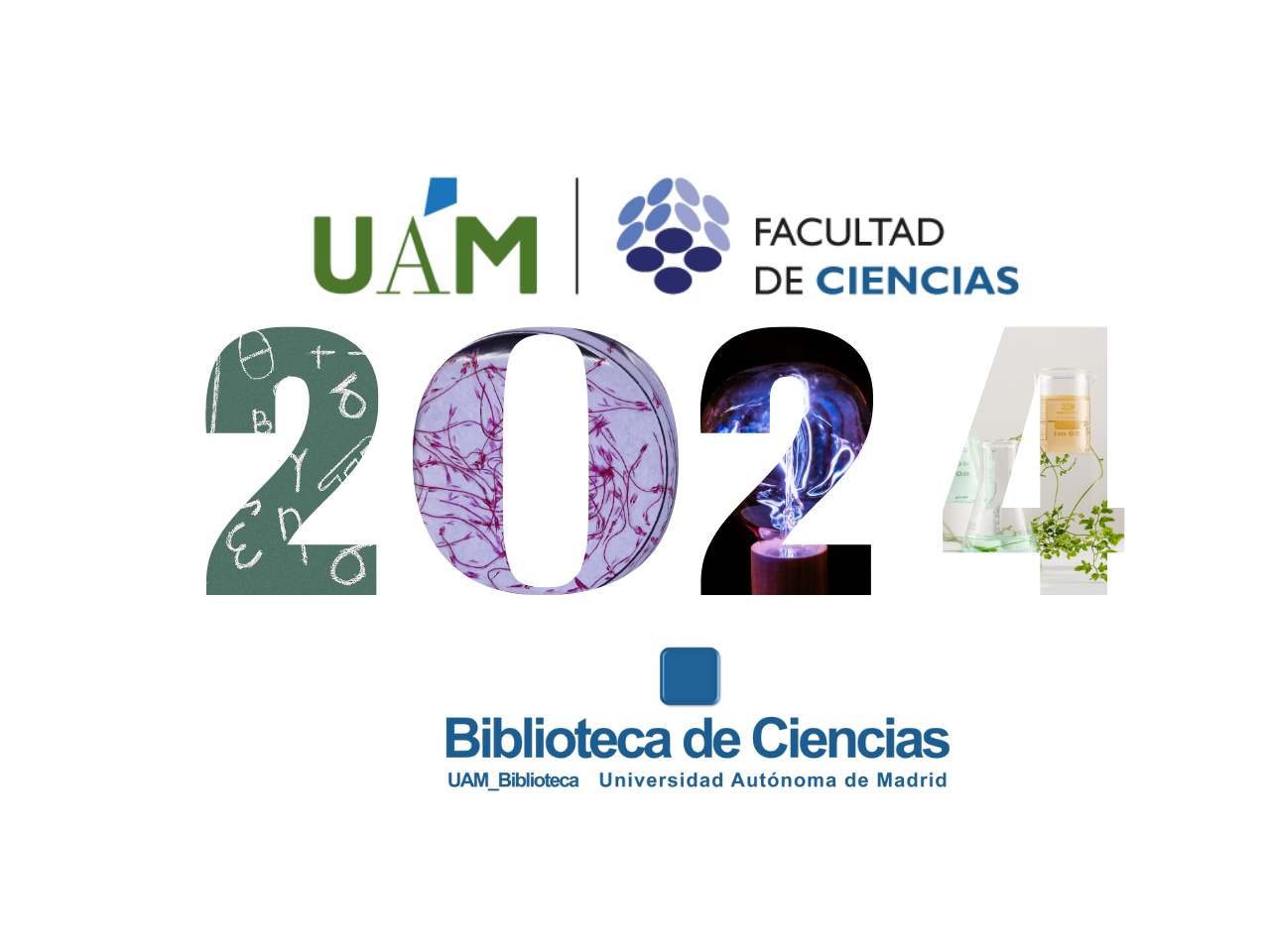 Memoria de Investigación 2024