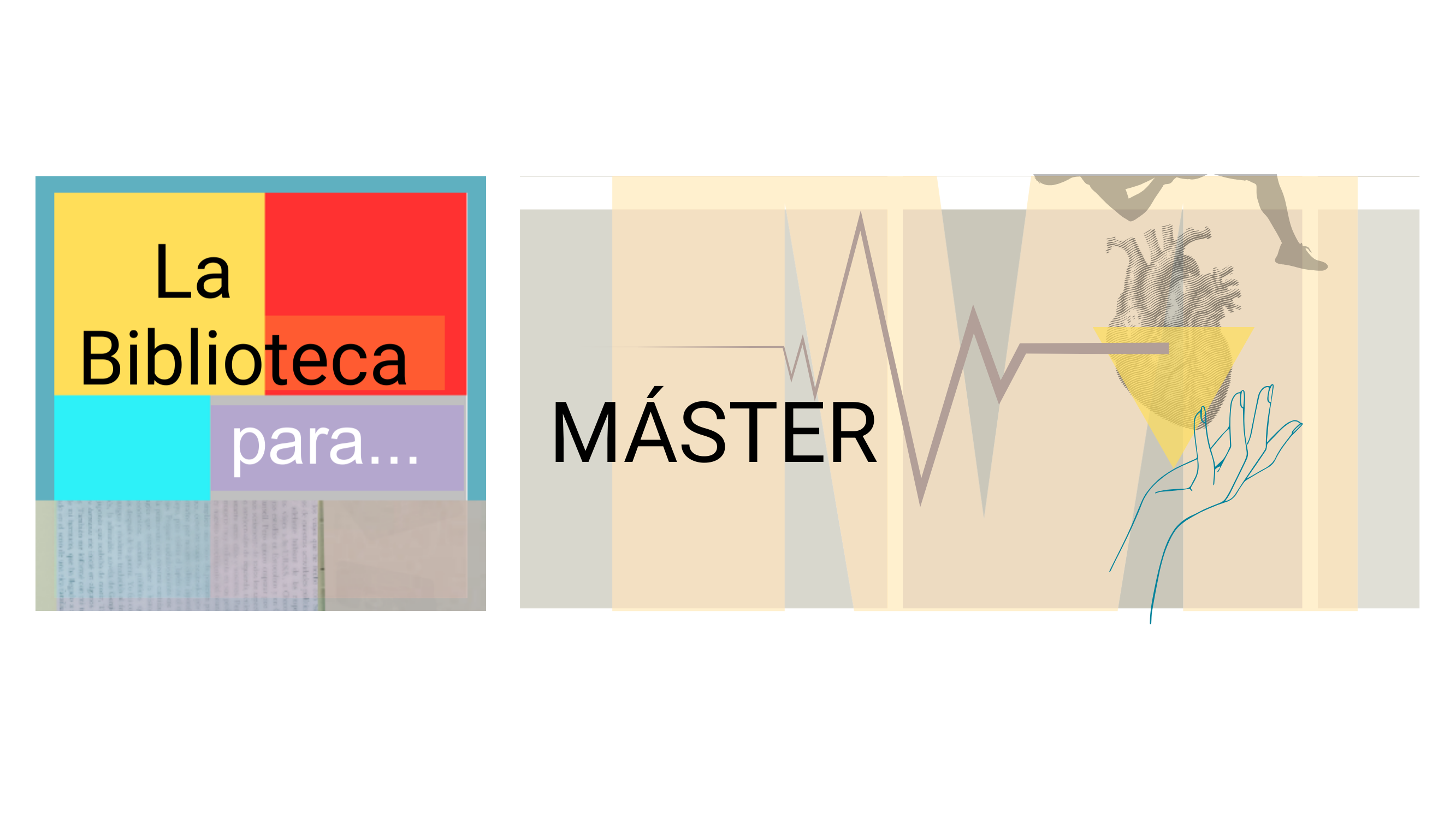 Imagen logo del Máster en actividades físicas