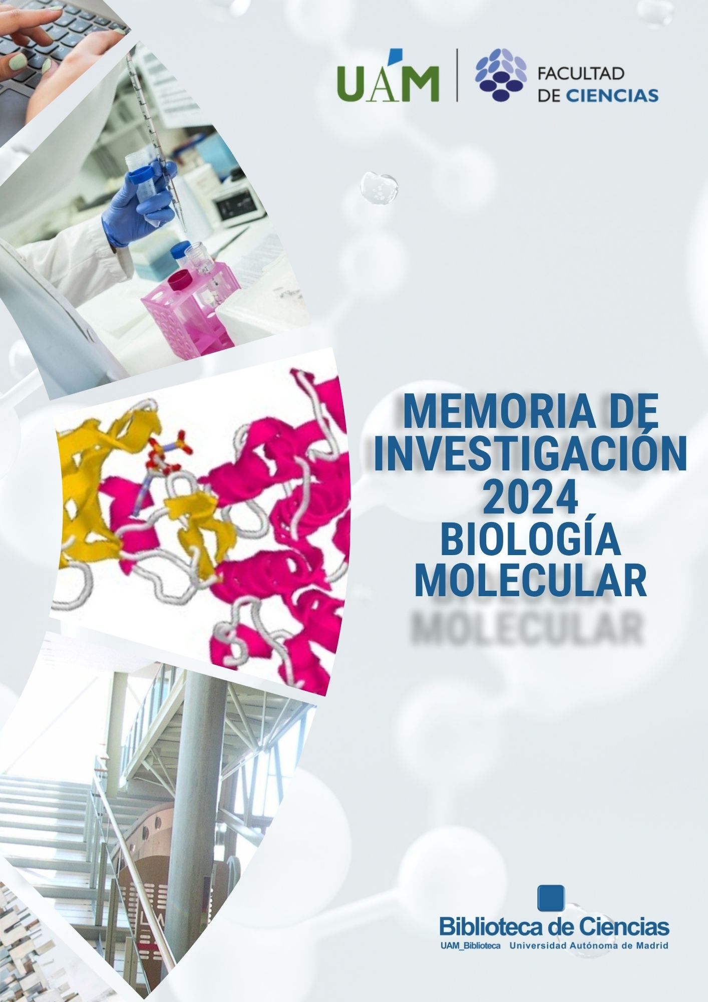 Memoria de Investigación 2024. Departamento de Biología Molecular