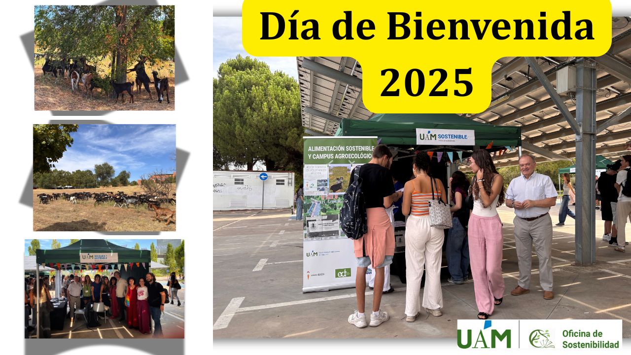 Día Bienvenida 2025