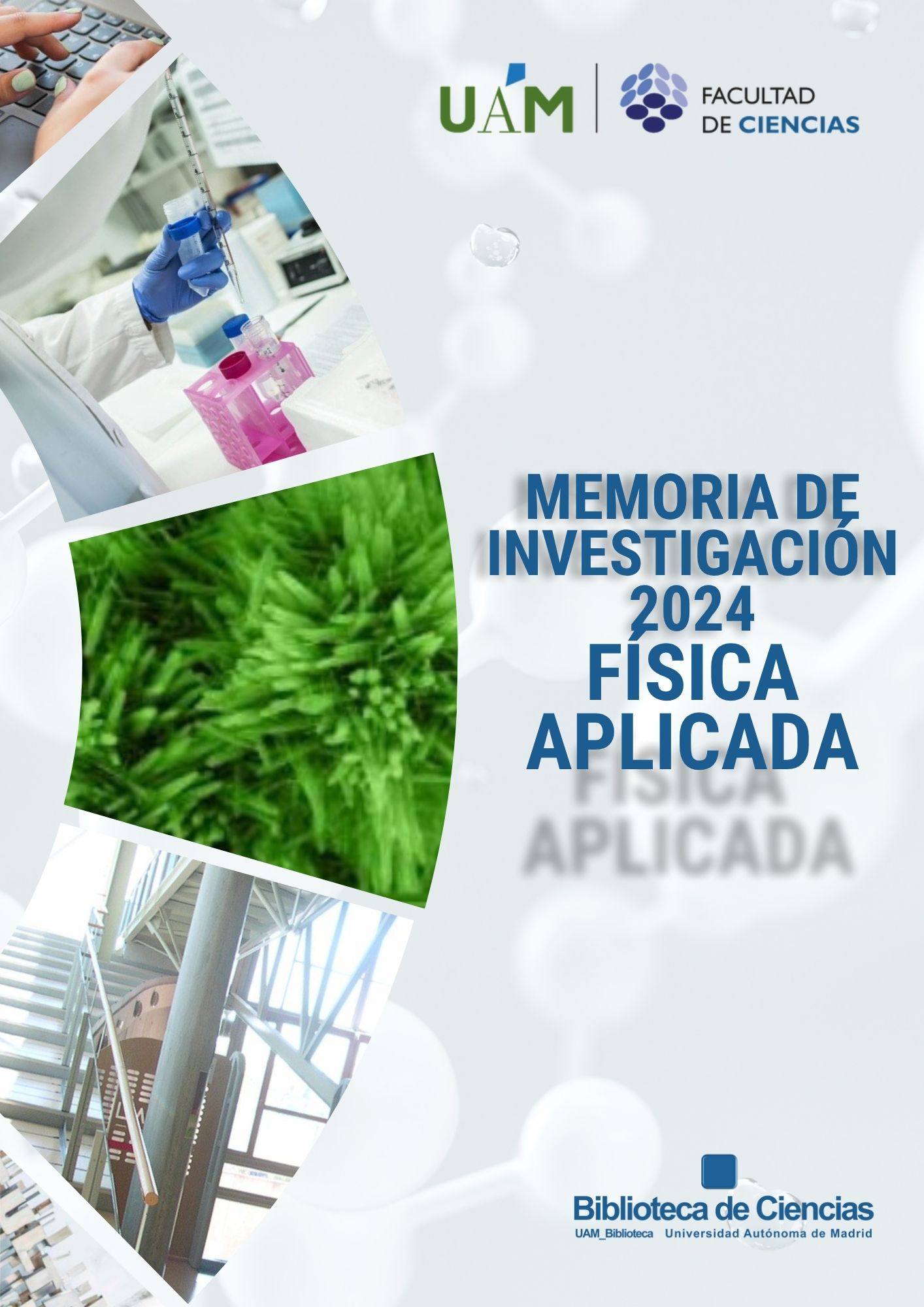 Memoria de Investigación 2024. Departamento de Física Aplicada