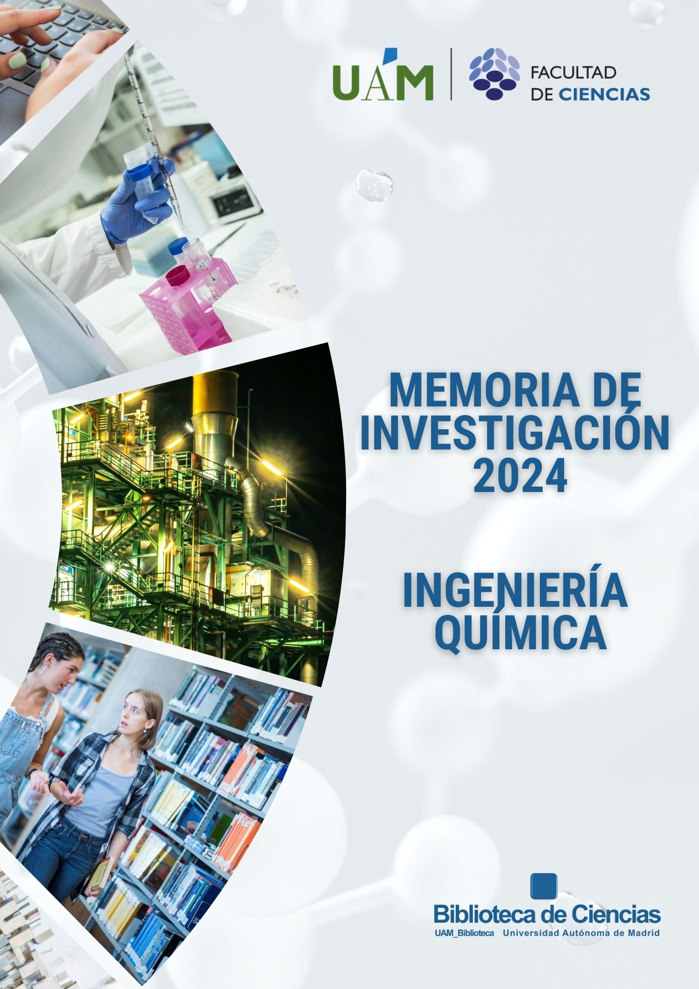 Memoria de Investigación 2024. Departamento de Ingeniería Química