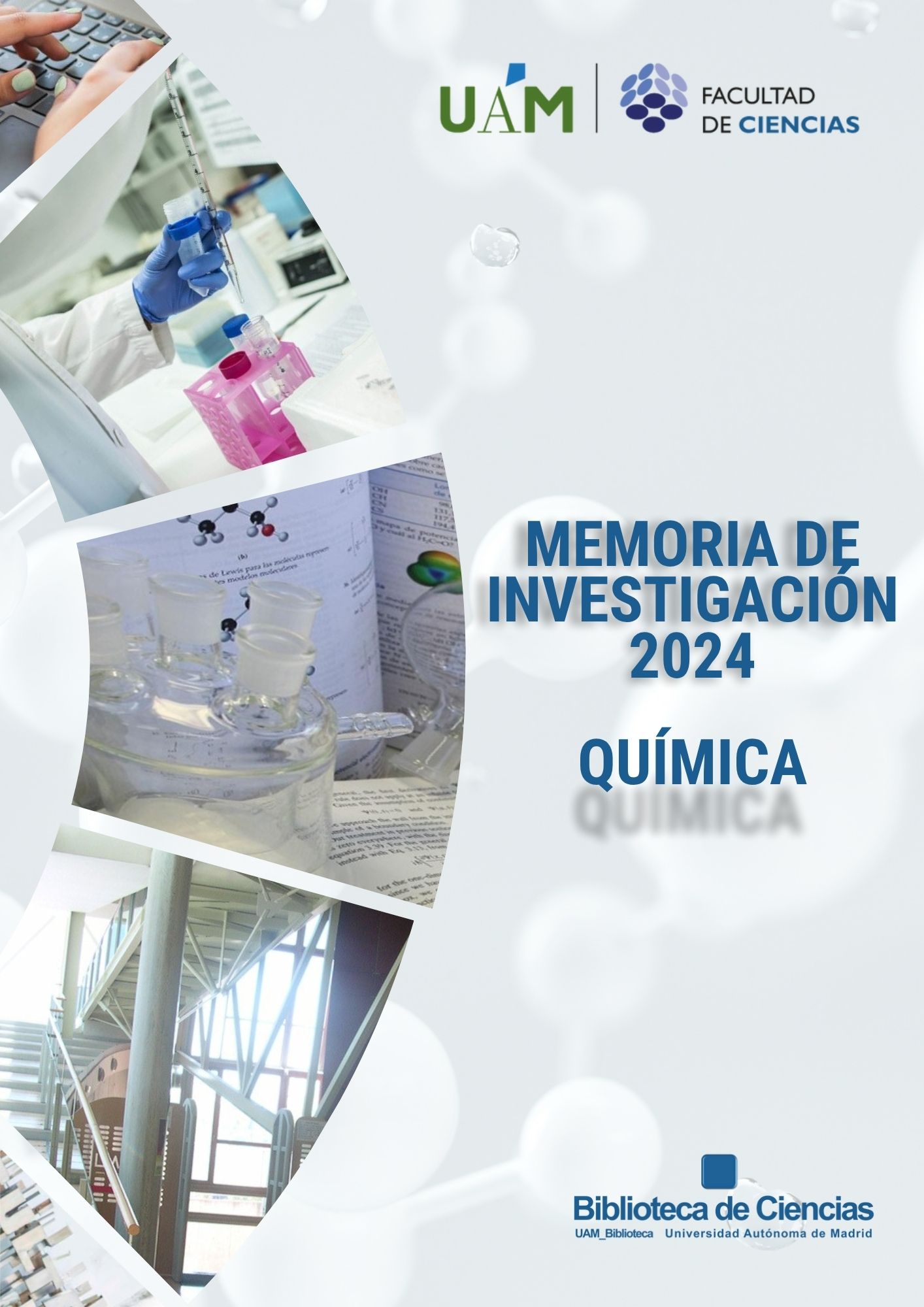 Memoria de Investigación 2024. Departamento de Química