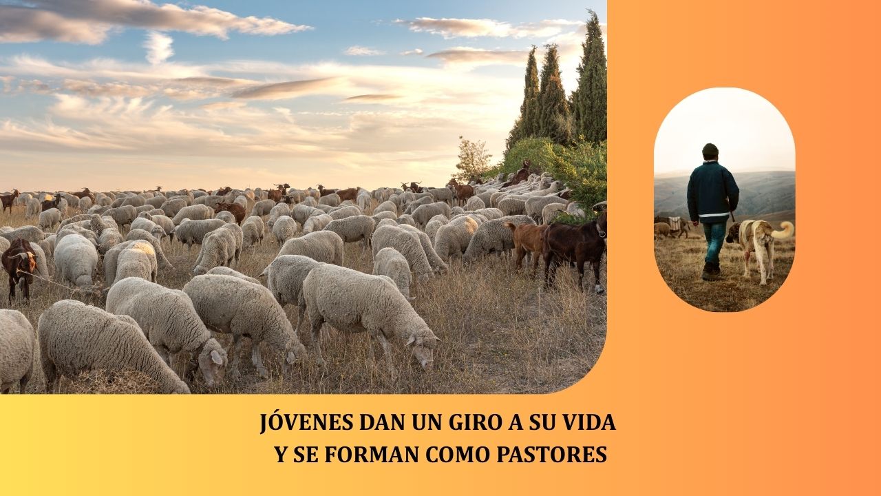 Noticia Jóvenes están dando un giro a su vida para formarse como pastores 