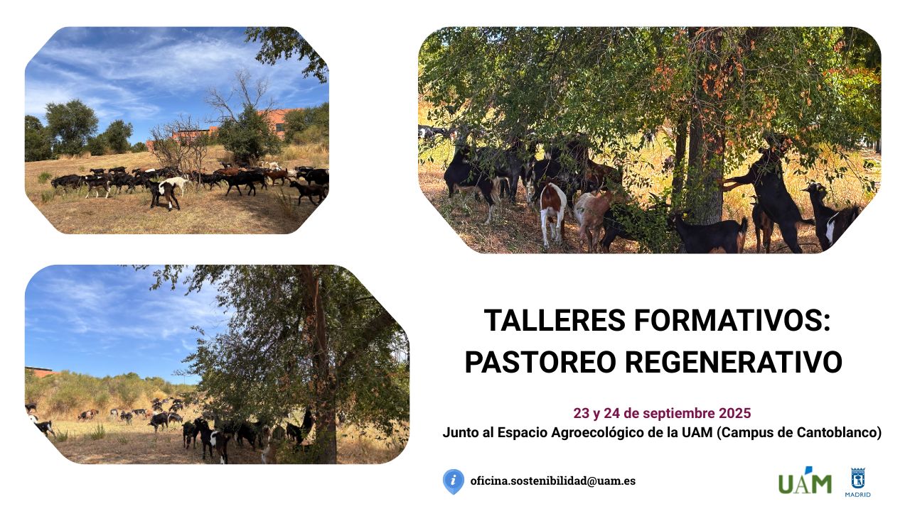 Noticia Talleres formativos pastoreo regenerativo