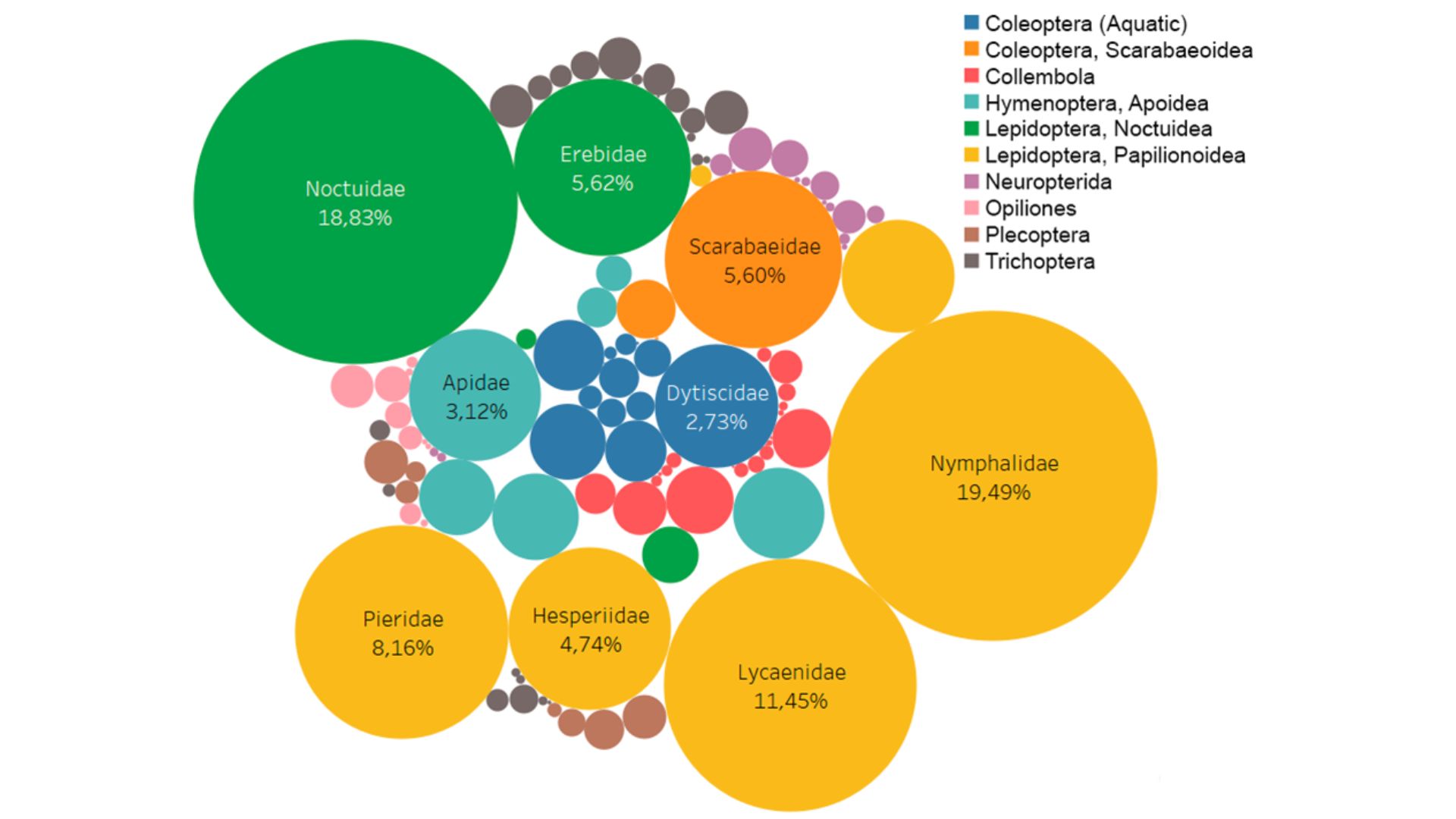 a mayoría de las familias registradas en la base de datos IberArthro. El tamaño del círculo es proporcional al número de registros de cada familia en la base de datos / UAM