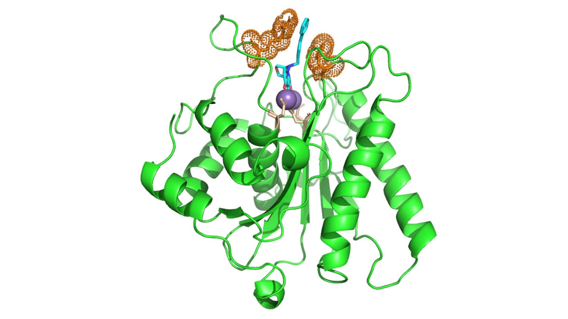 Estructura de la proteína del virus sobre la que actúa LN-7 / Federico Gago (Universidad de Alcalá) y Luis Menéndez Arias (CBM-CSIC/UAM)