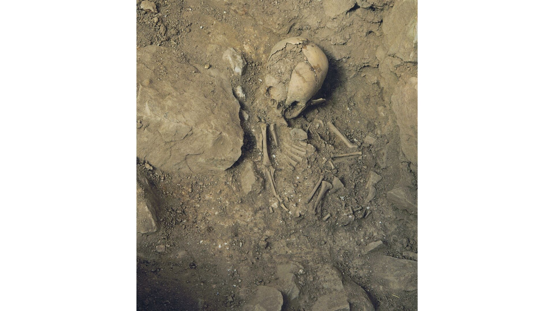 Enterramiento infantil del yacimiento del Cerro de La Encantada (Granátula de Calatrava, Ciudad Real) /Archivo fotográfico personal del Prof. Dr. José L. Sánchez Meseguer.