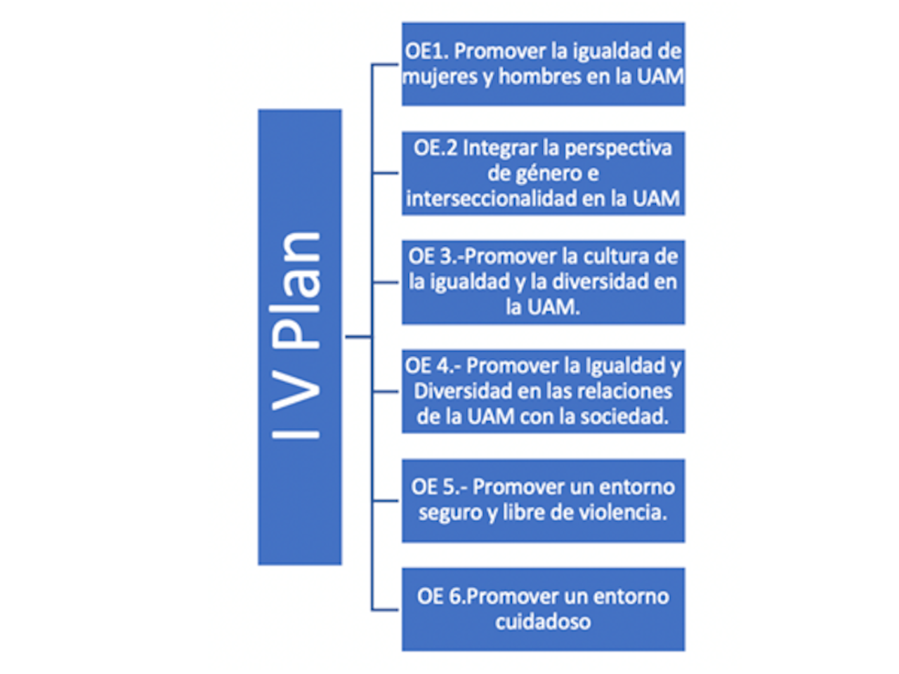 esquema plan igualdad
