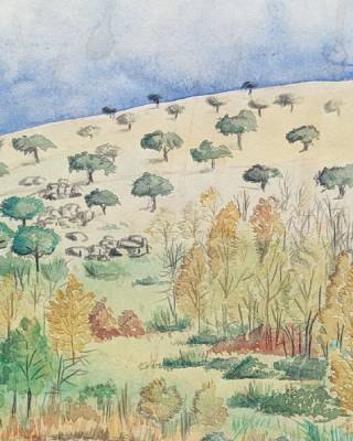 Reconocimiento a la labor de Catherine Levassor