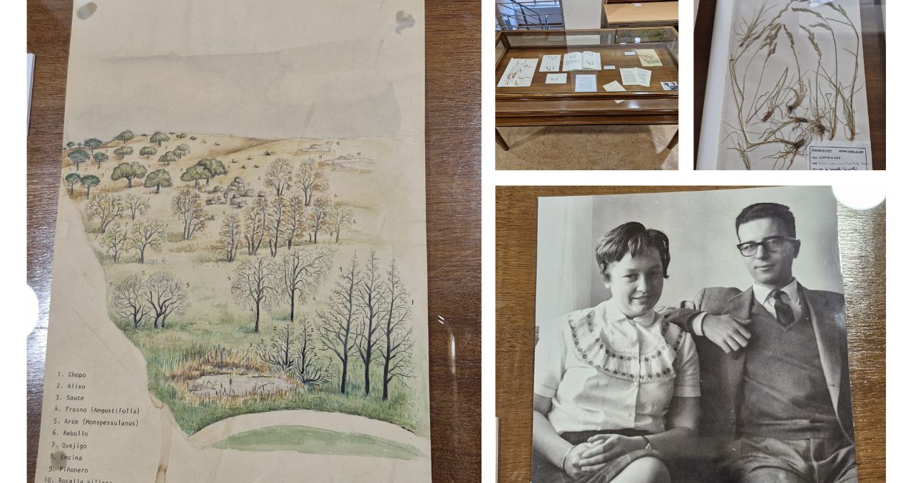 Reconocimiento a la labor de Catherine Levassor