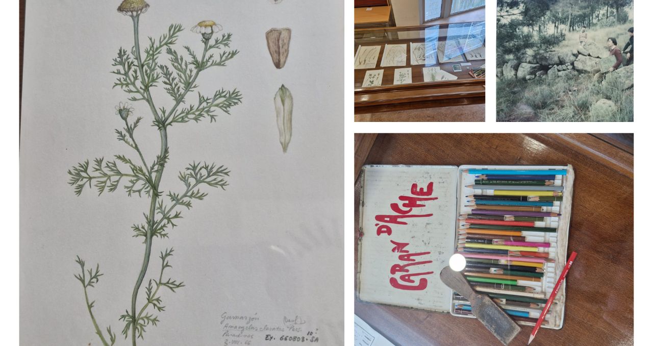 Reconocimiento a la labor de Catherine Levassor