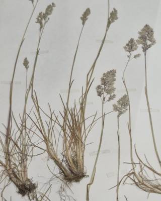 Reconocimiento a la labor de Catherine Levassor