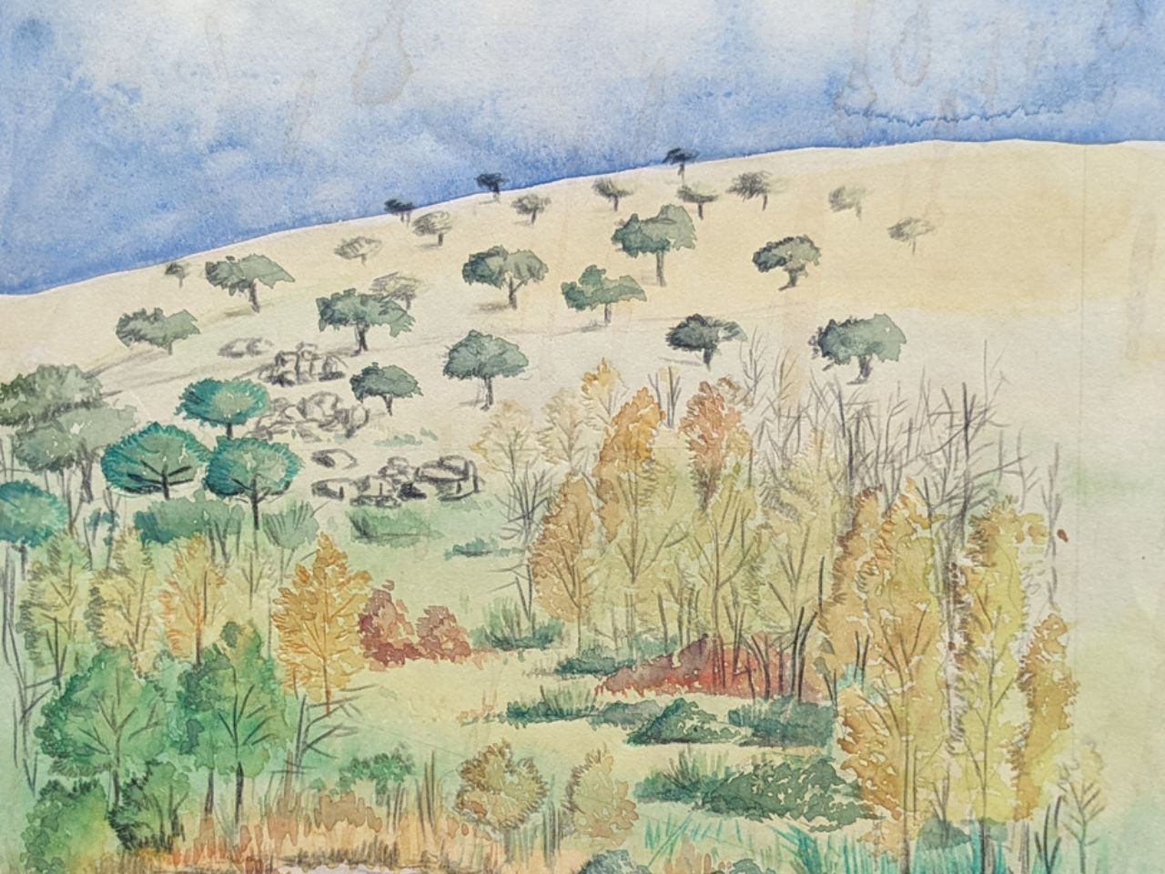 ECOLOGÍA Y BOTÁNICA EN LA UAM