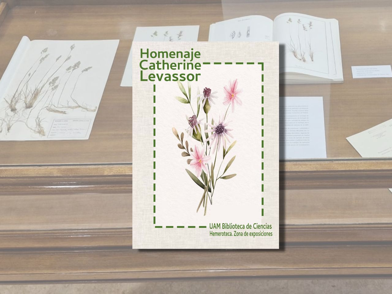 Exposición Catherine Levassor