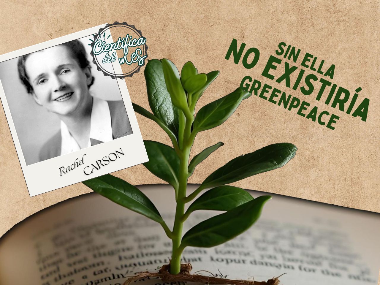 Científica destaca del mes: Rachel Carson