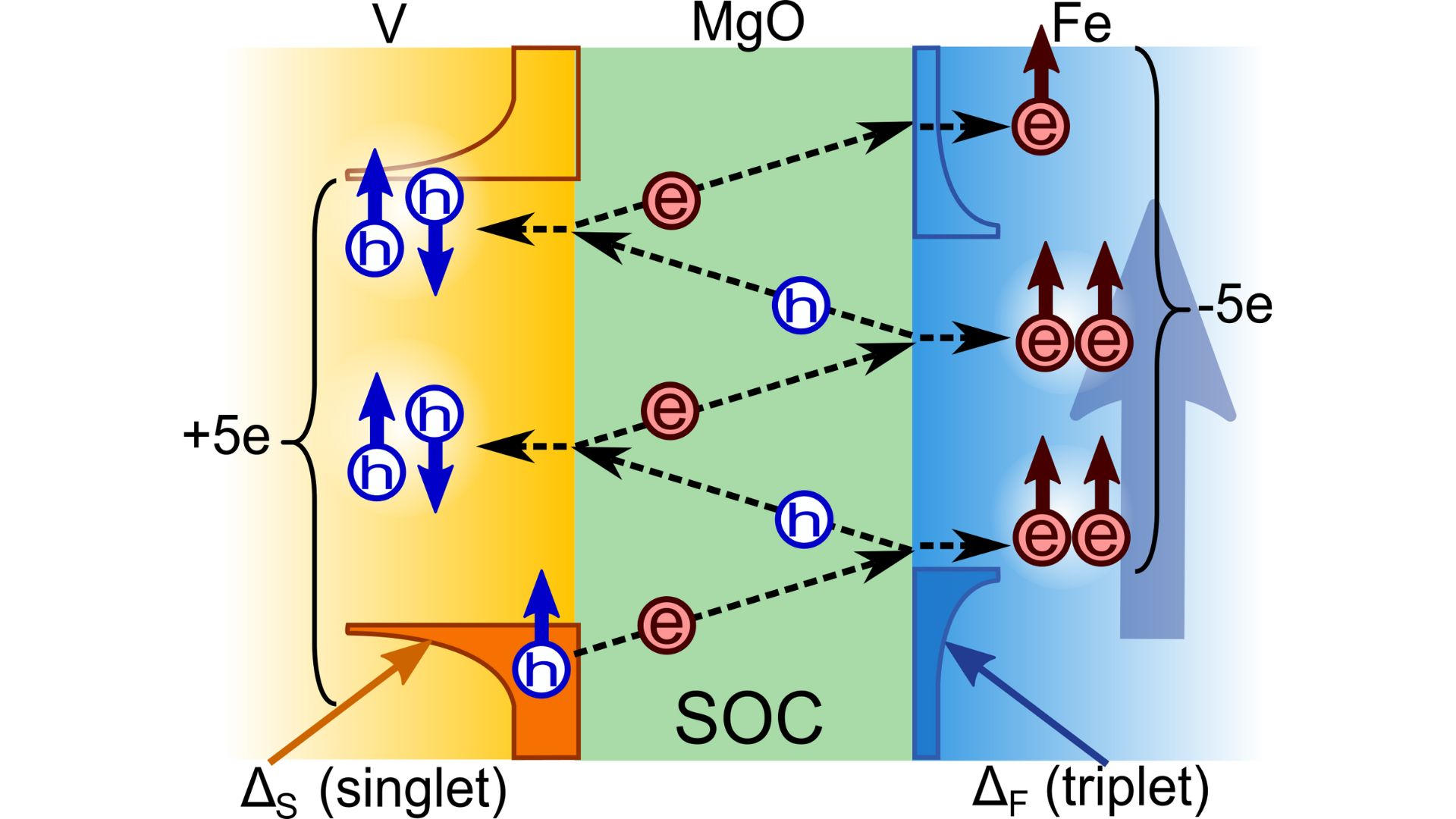 Por el efecto de proximidad entre el Hierro (Fe) ferromagnético y el Vanadio (V) superconductor, un estado superficial superconductor es inducido en el Hierro. La corta distancia entre estas dos regiones superconductoras posibilitan las reflexiones de Andreev múltiples entre ambas. Una conocida consecuencia de este fenómeno en otros sistemas con más de un material superconductor convencional (Uniones Josephson) es el incremento en el ruido de disparo.