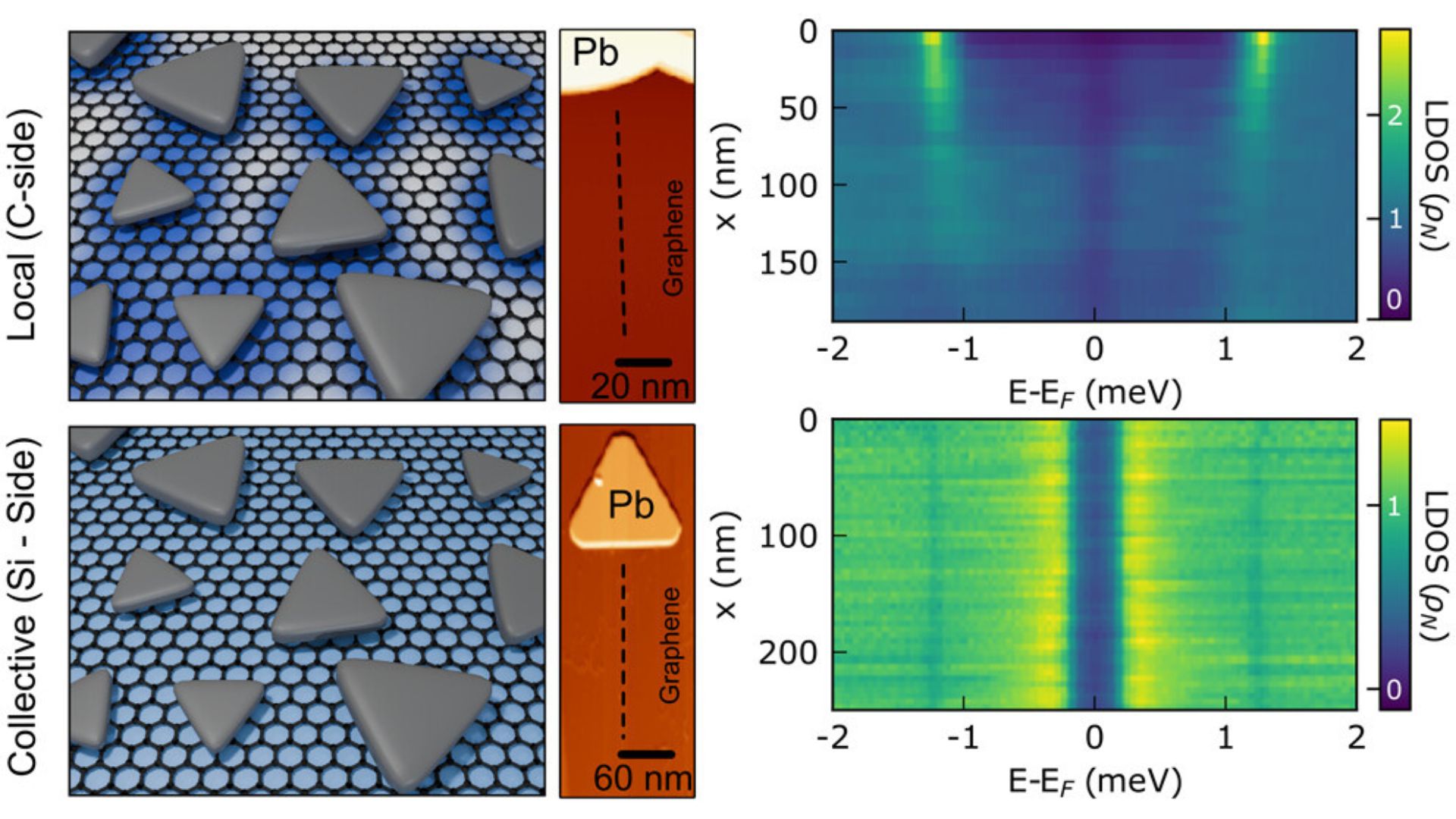 Islas superconductoras de Pb sobre grafeno: el fondo azul representa el parámetro de orden superconductor, que se induce de forma uniforme en el grafeno. Como se explica en la publicación, un ingrediente clave es la conductancia de interfaz reducida en la interfaz Pb–grafeno.