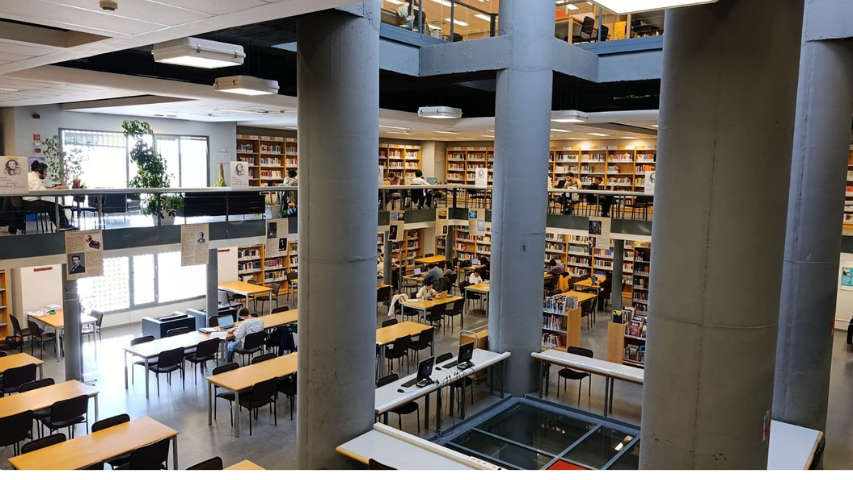 Imagen de las cifras sobre la colección de la Biblioteca Politécnica.