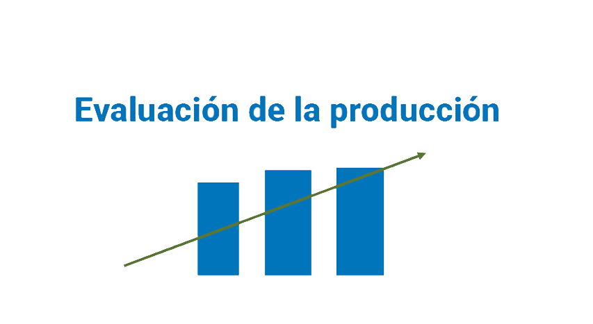 Evaluación de la producción