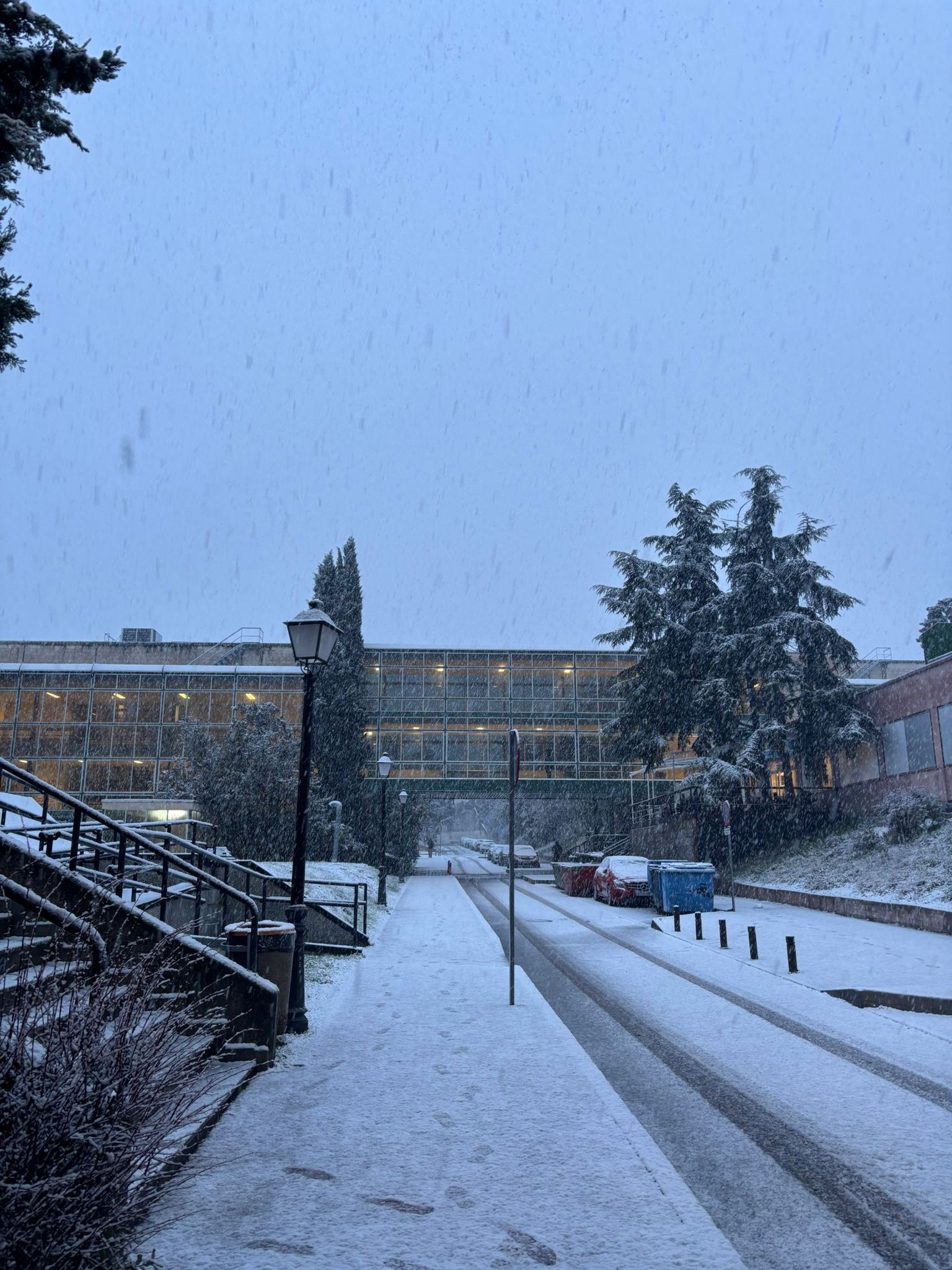 Imagen del campus con nieve