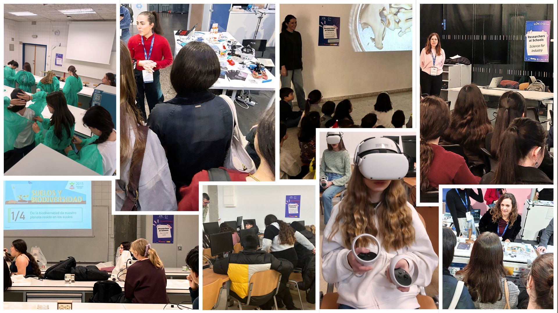 cartel collage de imágenes de actividades desplegadas en el proyecto