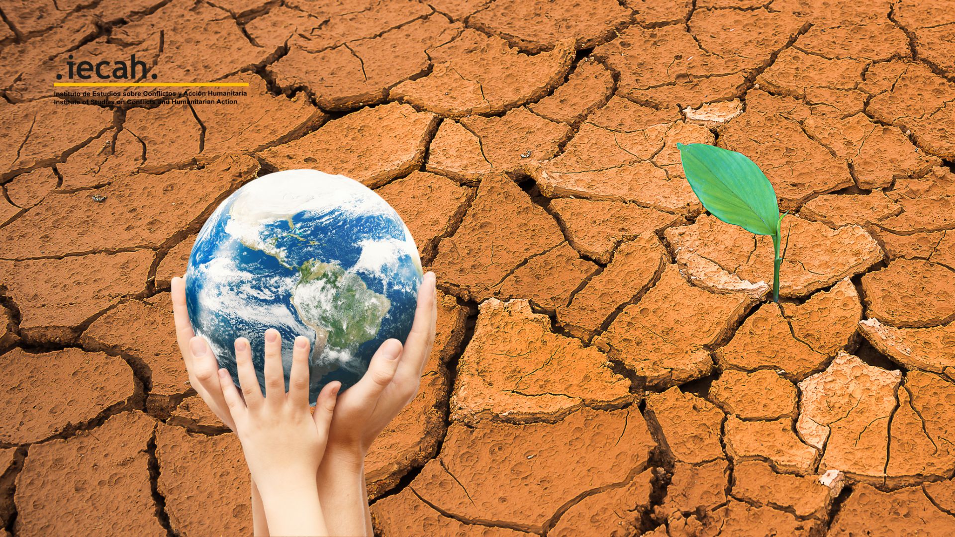 Imagen Noticia Formación en el IECAH