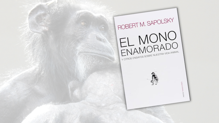 Especial bibliográfico San Valentín