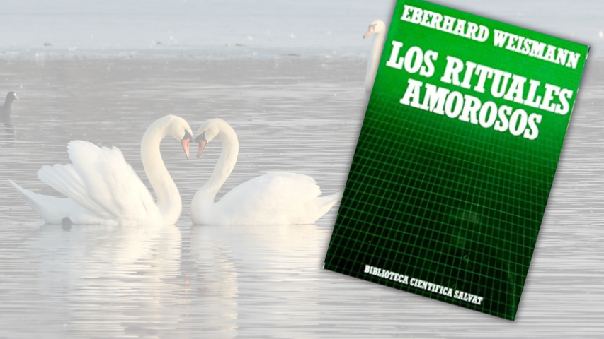 Especial bibliográfico San Valentín