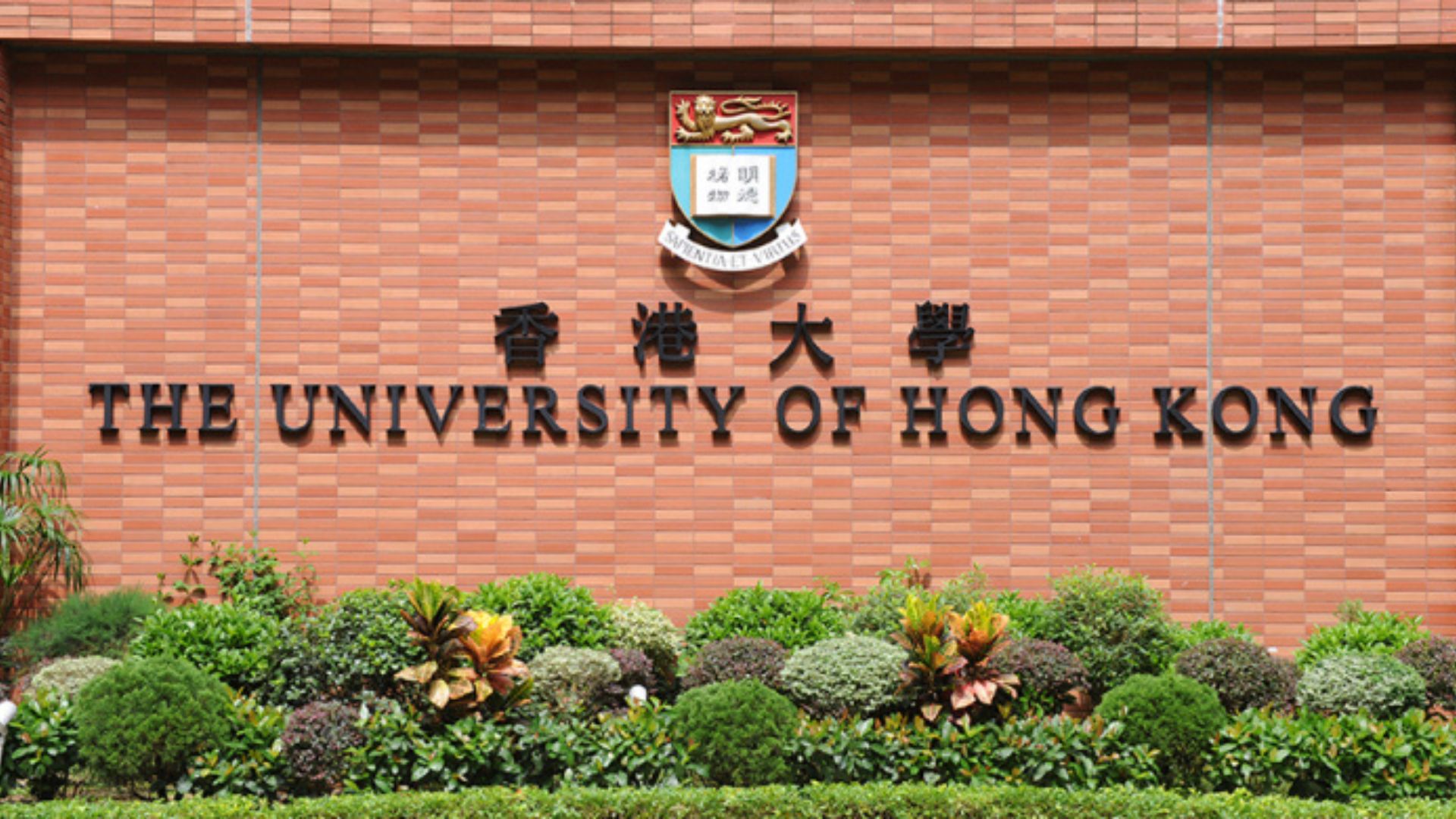 Honk Kong University