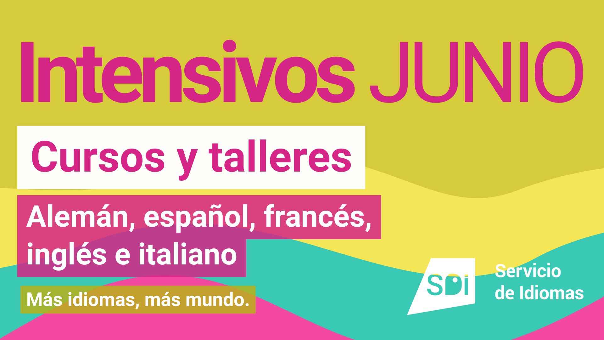 Cursos intensivos para junio de 2026