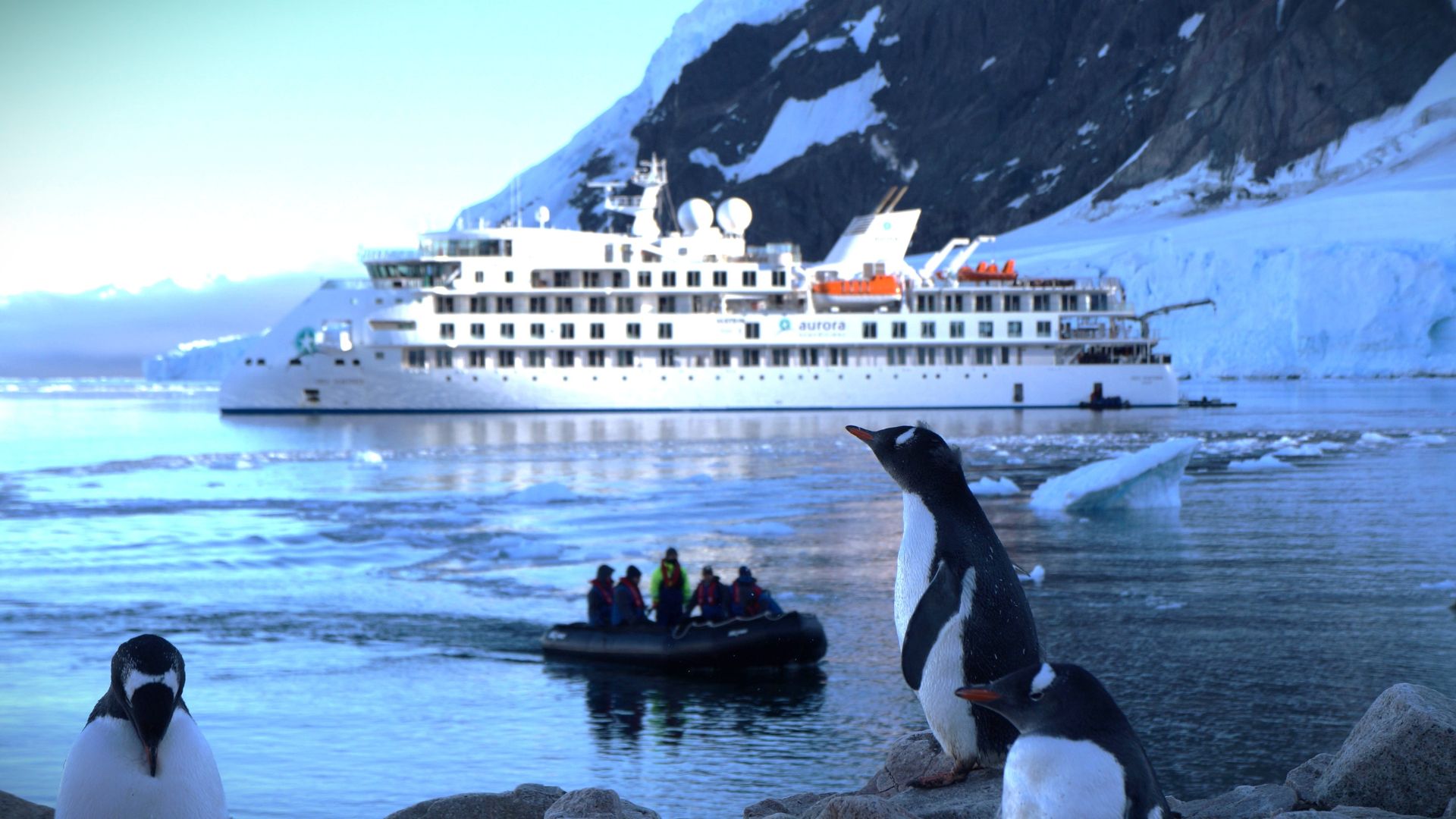Turistas realizando un desembarco en la Antártida para visitar una colonia de pingüinos.  Fuente: Daniela Cajiao