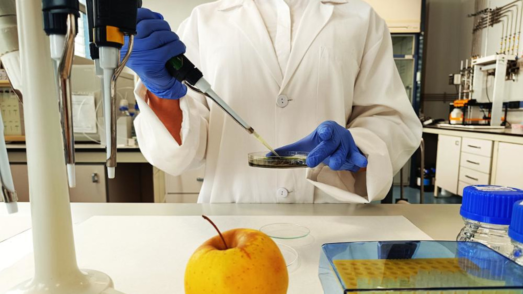 Persona usando pipeta en una placa de Petri en laboratorio, con una manzana sobre la mesa