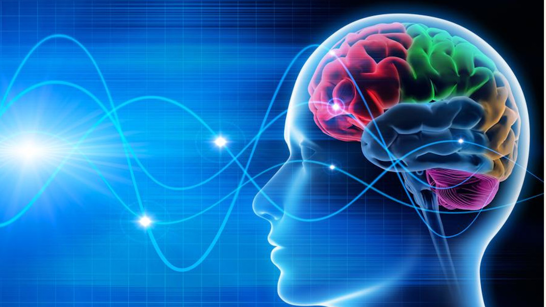 cerebro conectado a lineas sinusoidales
