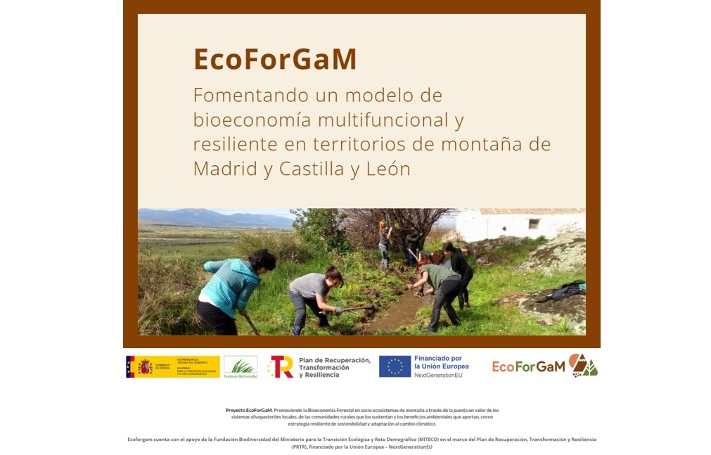 Proyecto EcoForGam