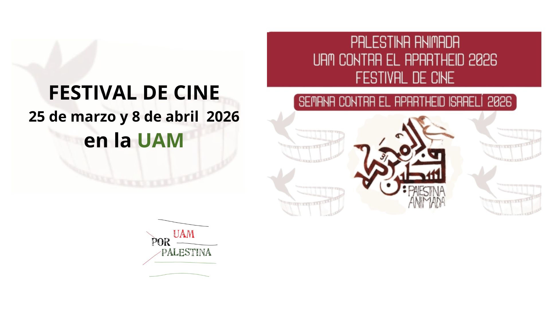 Noticia Palestina Festival de cine