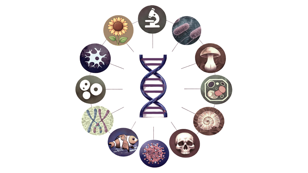 Esquema con los distintos campos de la biología