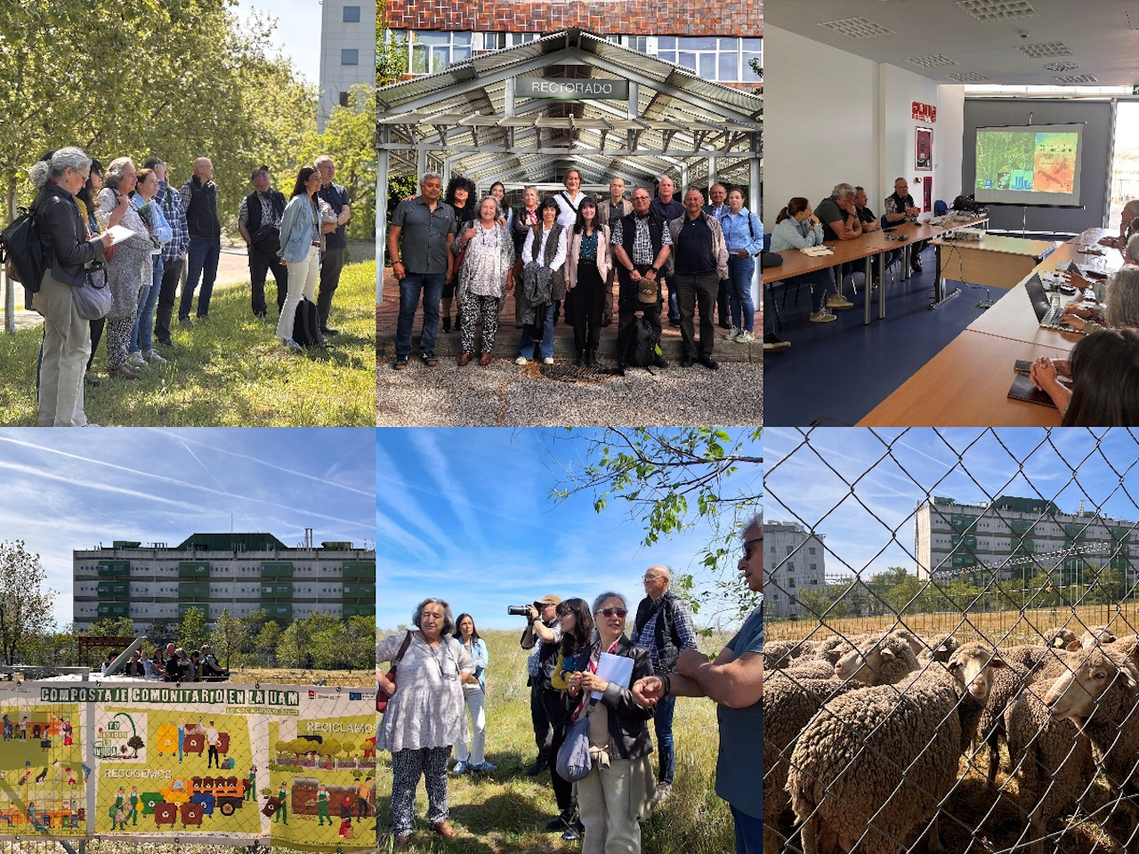 collage de imágenes con grupos de gente