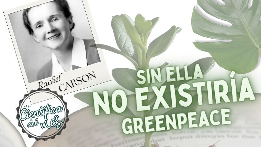 Rachel Carson: sin ella, no existiría Greenpeace