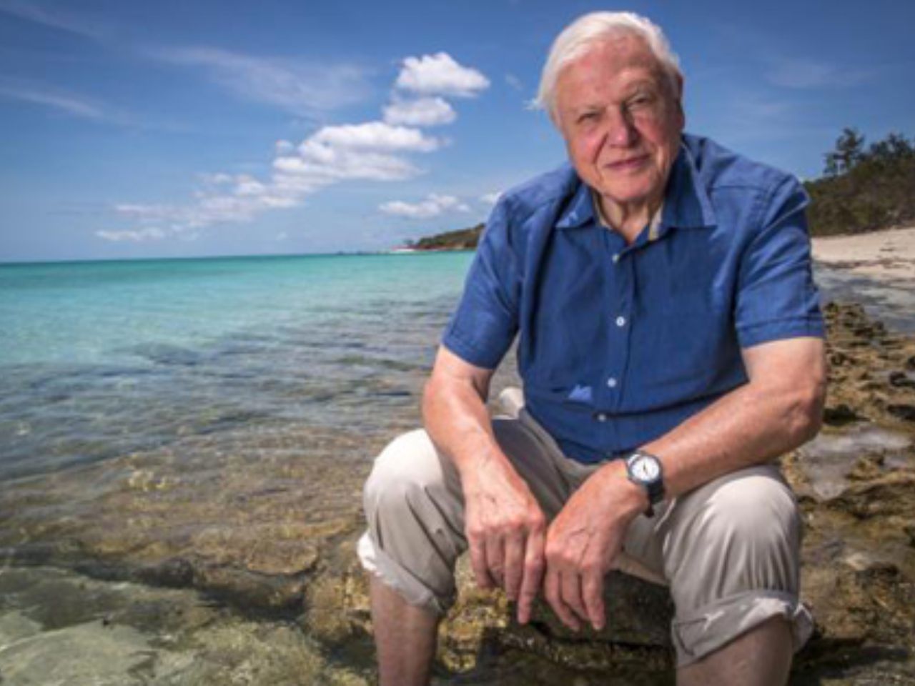 Homenaje de la BBC a su naturalista más famoso: David Attenborough 