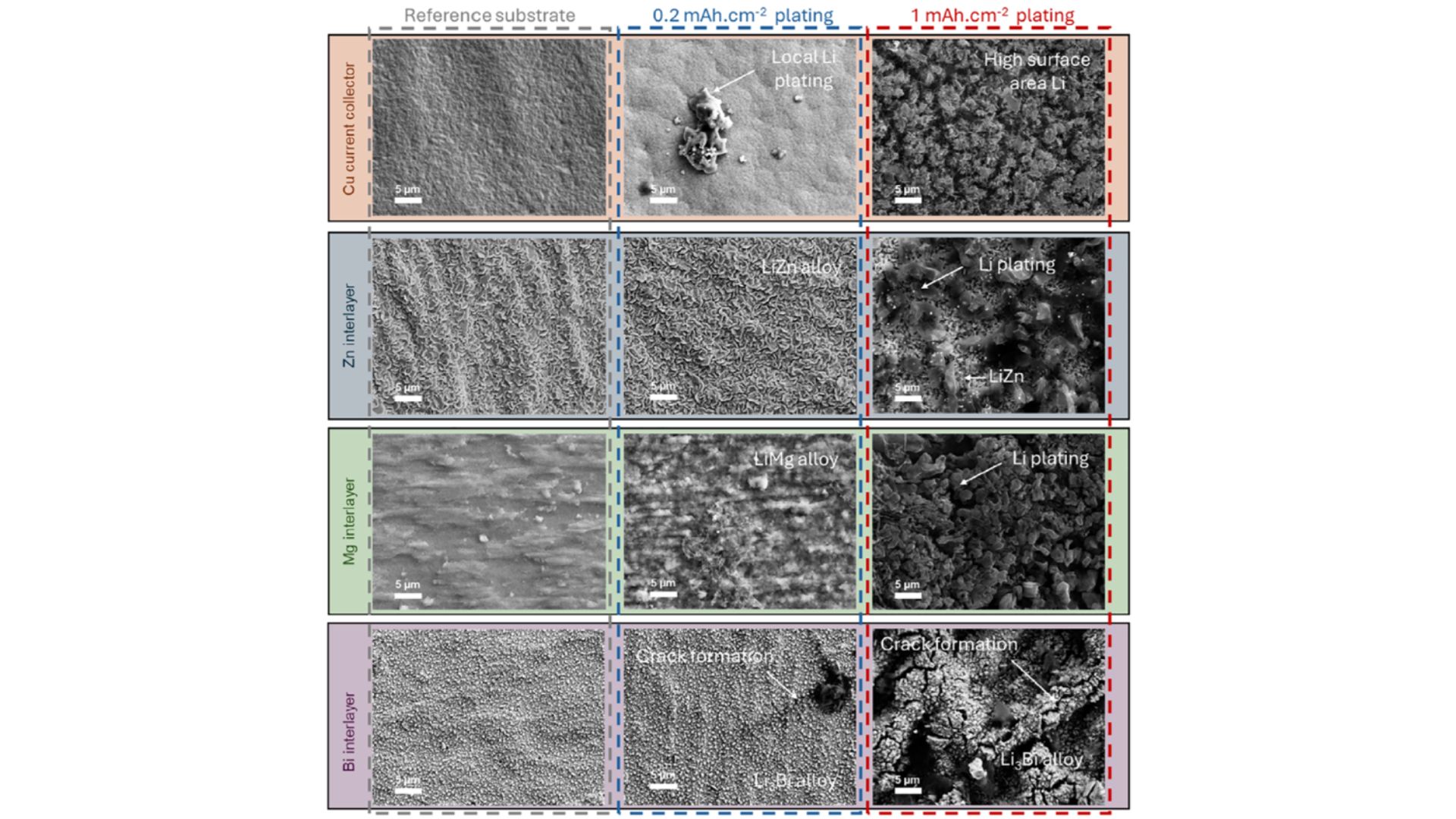 Comparación de cómo se deposita el litio sobre cobre y sobre distintas capas metálicas (zinc, magnesio y bismuto). Mientras el cobre genera estructuras irregulares y dendritas, el zinc y el magnesio favorecen un crecimiento más uniforme. El bismuto, en cambio, provoca grietas y degradación. / UAM