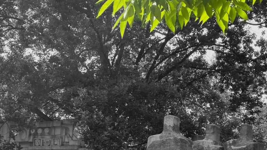 Memoria Sostenbilidad_2 Perfil de la UAM